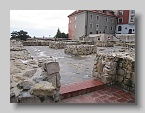IMG_2020