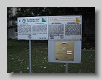 IMG_2045
