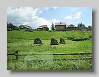 IMG_3776