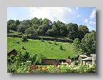 IMG_3854