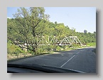 IMG_3870