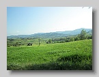 IMG_4016