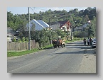 IMG_4022