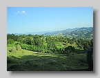 IMG_4041