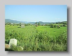 IMG_4065