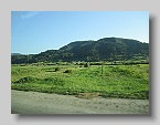 IMG_4095