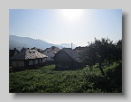 IMG_4201