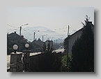 IMG_4217
