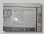 IMG_5011