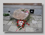 IMG_6358