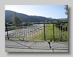 IMG_3336