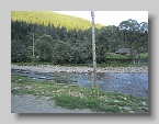 IMG_3442