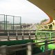 IMG_1368